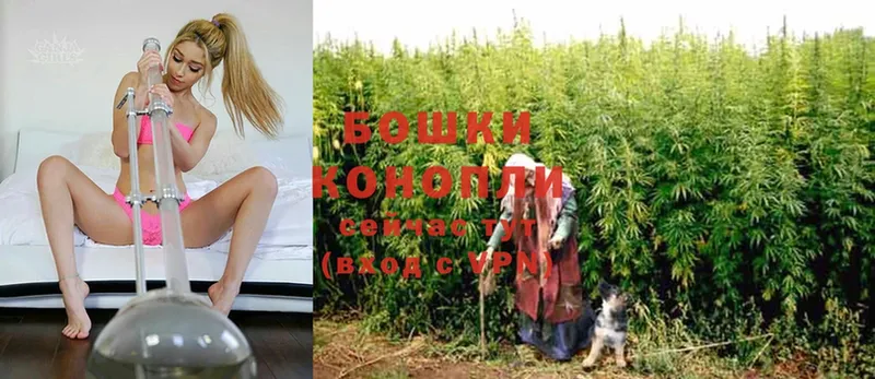 Бошки Шишки SATIVA & INDICA  где купить наркоту  hydra ССЫЛКА  Борзя 